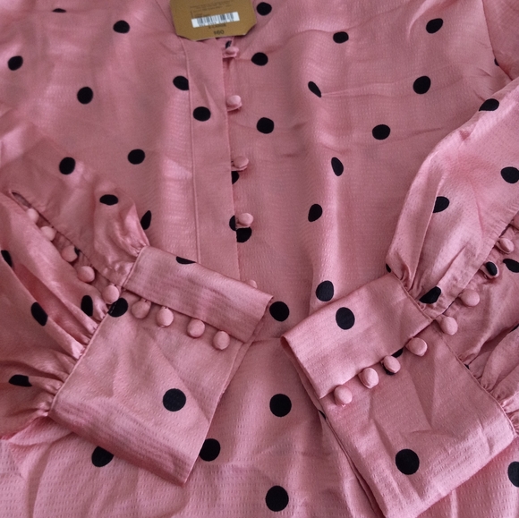 RYEGRASS Size X Large $20 - Picture 13 of 13